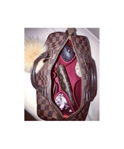LV Speedy 30 (1)